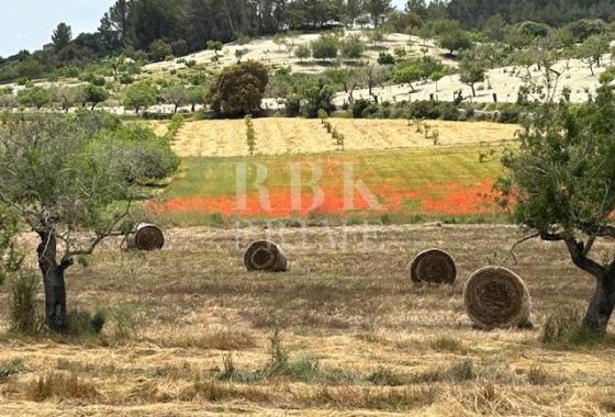 Available - Urban plot - Montuiri