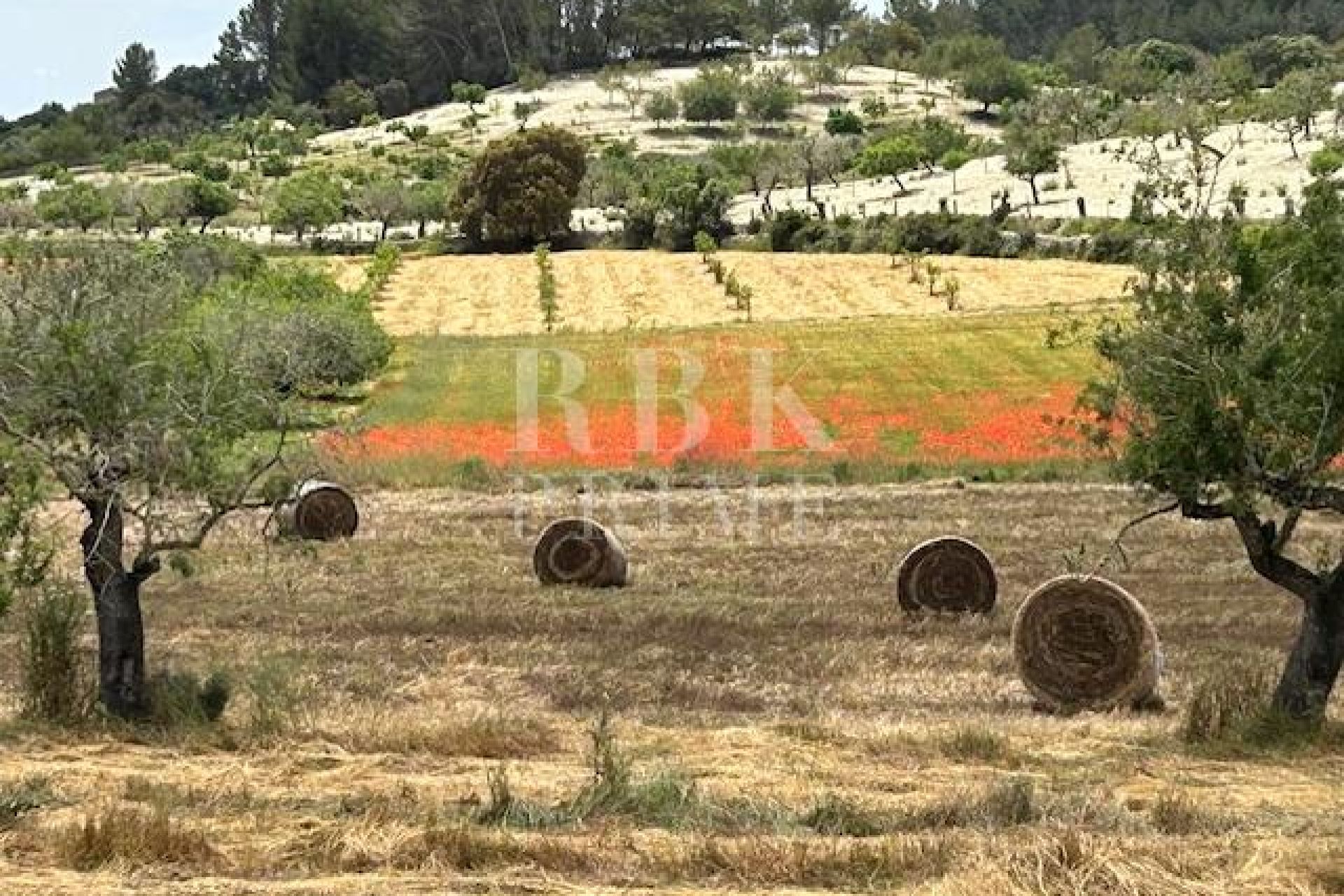 Available - Urban plot - Montuiri