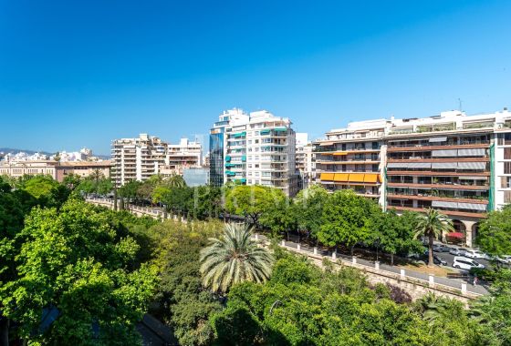 Apartment · Available - Palma