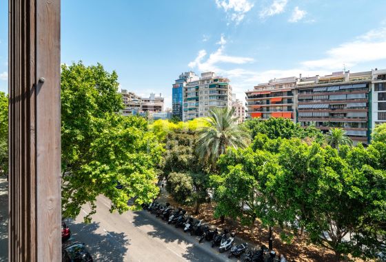 Apartment · Available - Palma