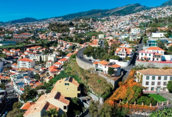 新建筑 - 一楼 - Funchal