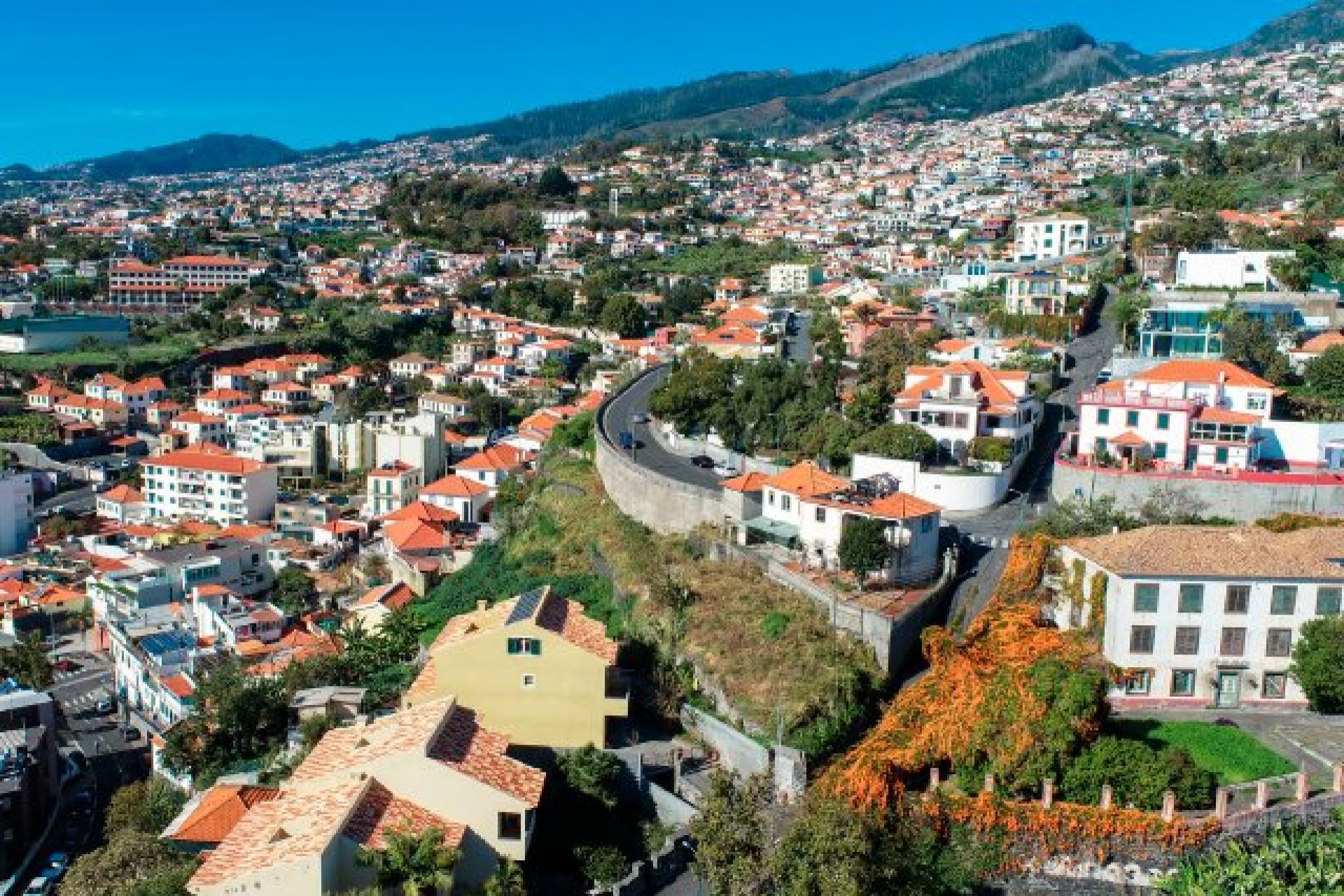 新建筑 - 一楼 - Funchal