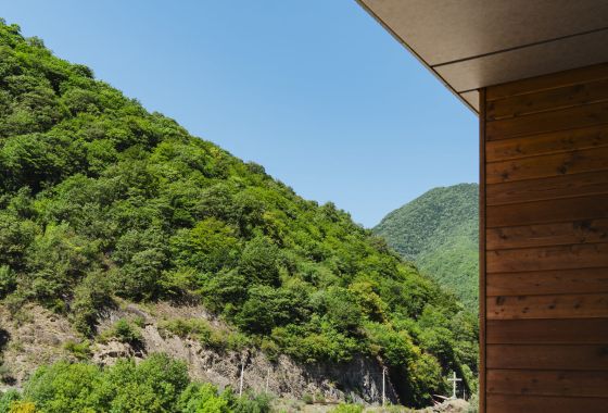 New Build - Hotel - Pasanauri