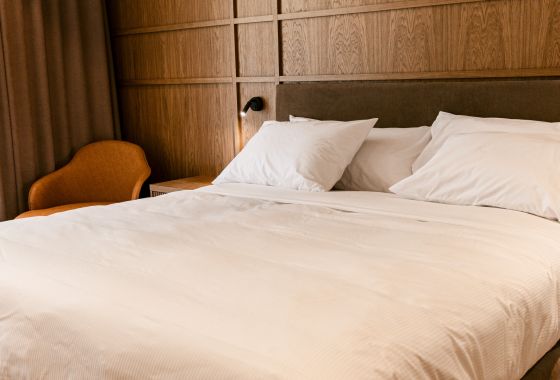 New Build - Hotel - Pasanauri