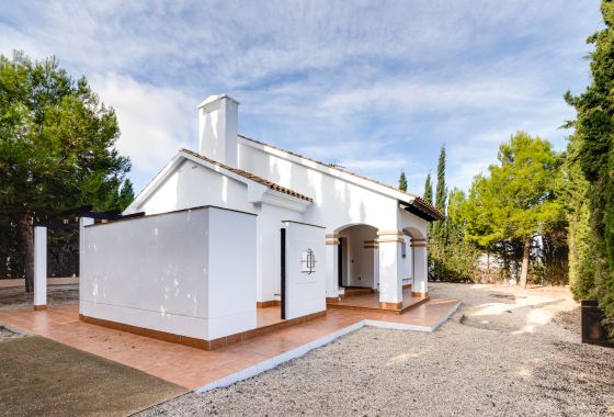 Neue Gebäude - Villa - Fuente Alamo - Costa Calida