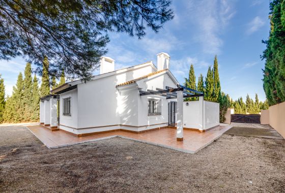 Neue Gebäude - Villa - Fuente Alamo - Costa Calida