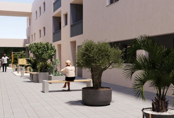 Obra nueva - Planta baja - San Miguel De Salinas