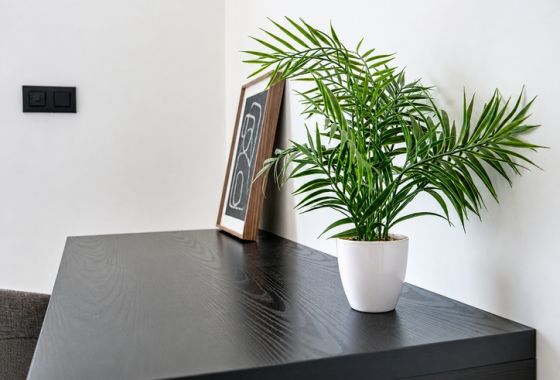 新建筑 - Villa - Finestrat - Costa Blanca North