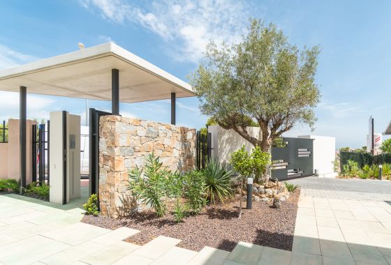 别墅小屋 · 新建筑 - Torrevieja · Alicante