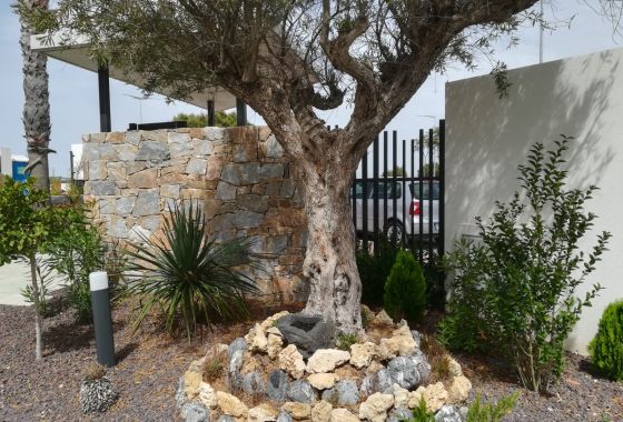 Bungalow · Neue Gebäude - Torrevieja · Alicante
