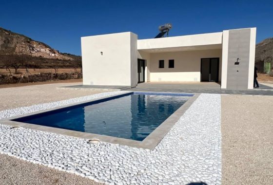 Detached in Cañada de la Leña