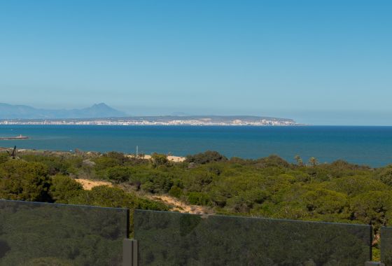 Ground floor · New Build - Guardamar Del Segura · Alicante