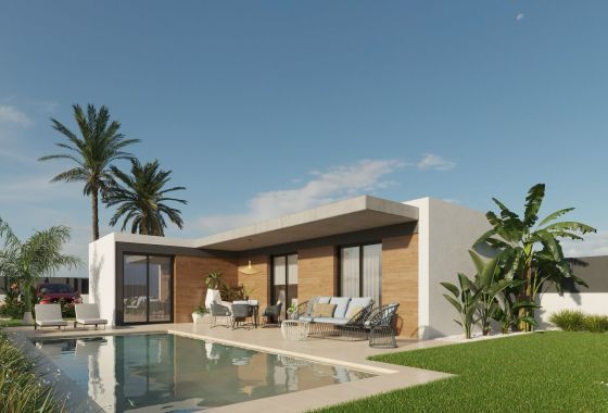 Detached in Molina de Segura