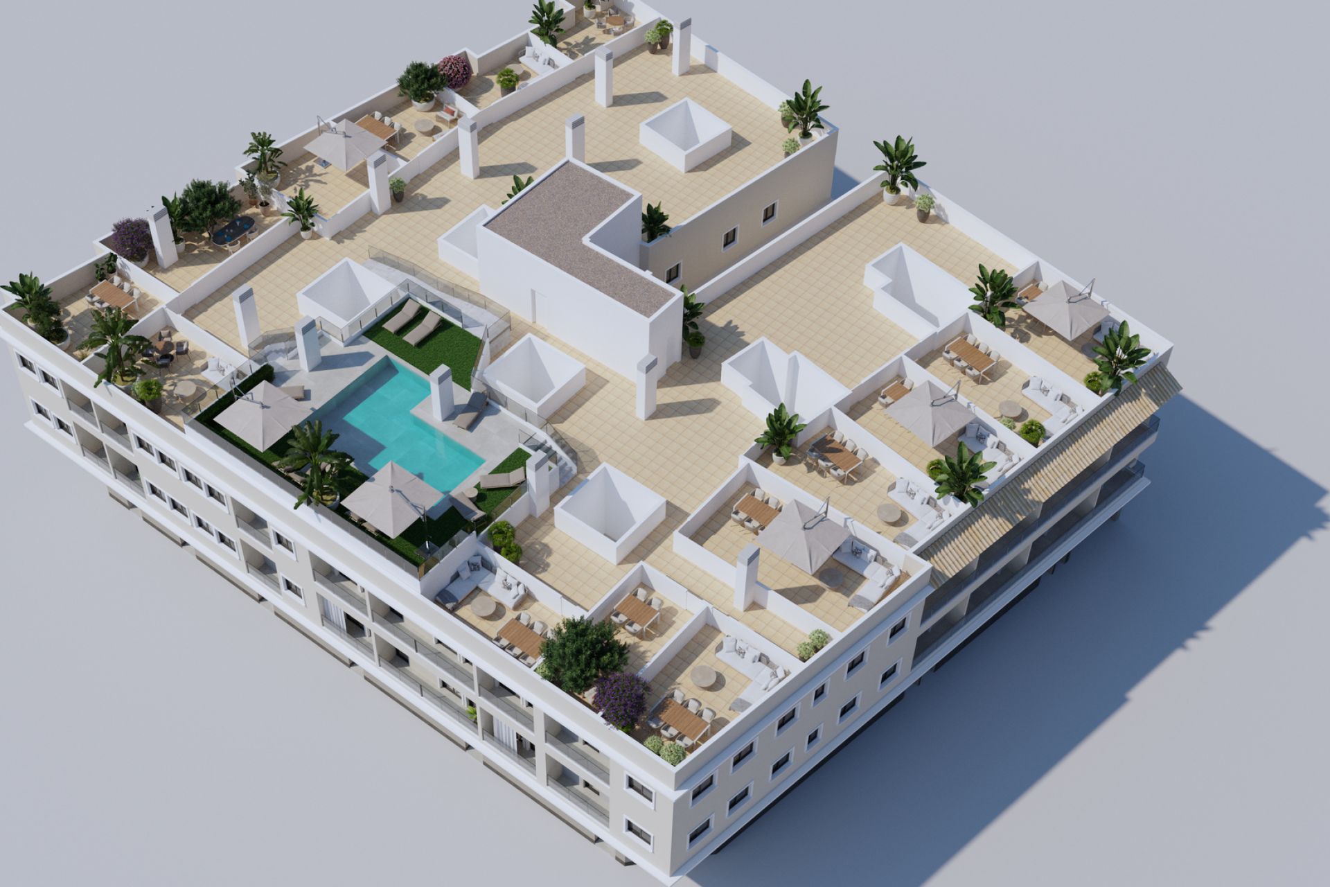 新建筑 - 顶层公寓 - Algorfa