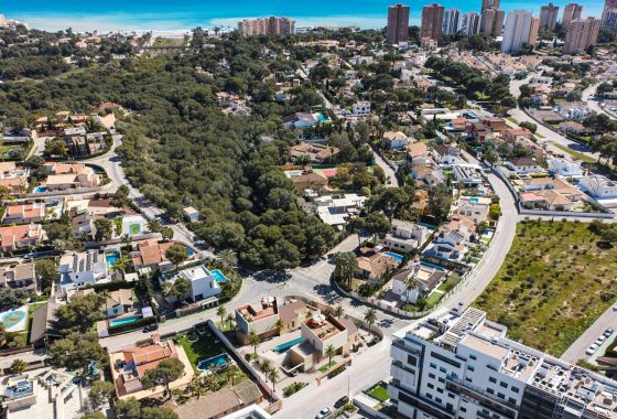 Obra nueva - Villa - Dehesa De Campoamor - Costa Blanca Sur