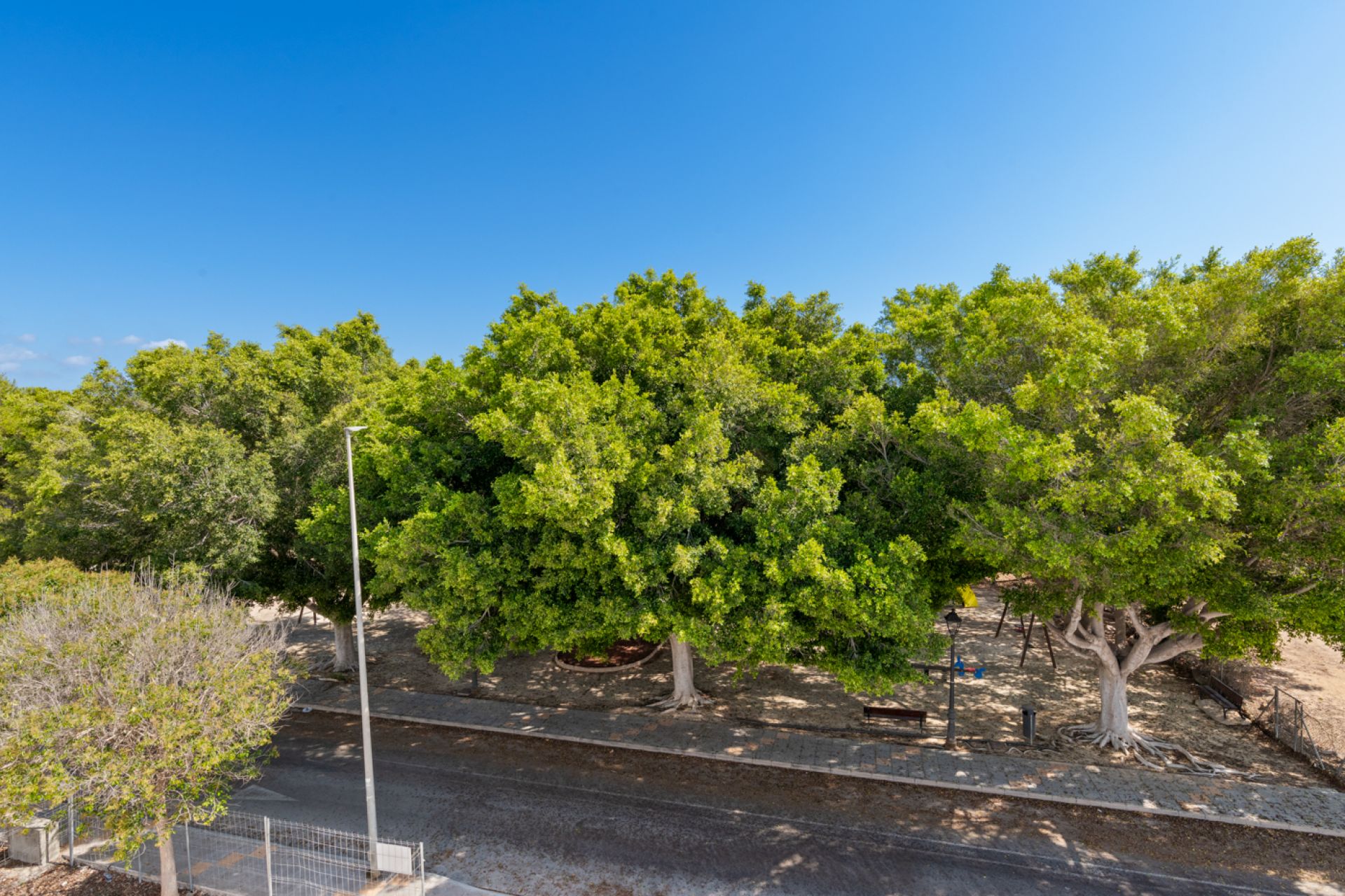Obra nueva - Villa - Mil Palmeras