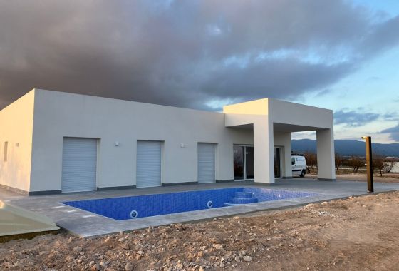 Obra nueva - Villa - Pinoso
