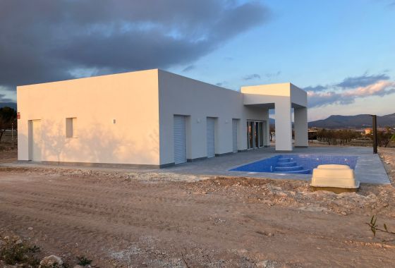 Obra nueva - Villa - Pinoso