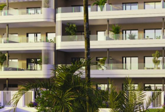 Penthouse · New Build - Torrevieja · Alicante