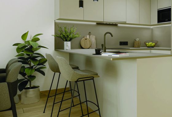 Penthouse · New Build - Torrevieja · Alicante