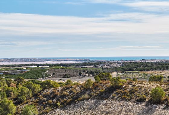 Villa · New Build - San Miguel De Salinas · Alicante