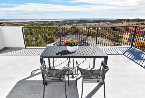 Villa · New Build - San Miguel De Salinas · Alicante