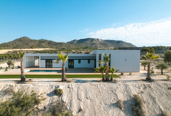 Obra nueva - Villa - Pinoso