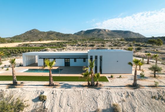 Obra nueva - Villa - Pinoso