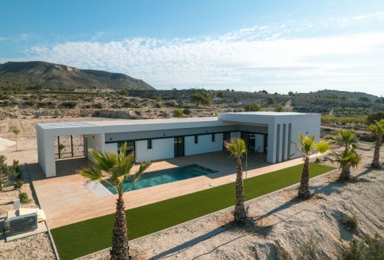 Obra nueva - Villa - Pinoso