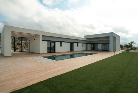 Obra nueva - Villa - Pinoso