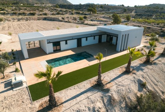 Obra nueva - Villa - Pinoso