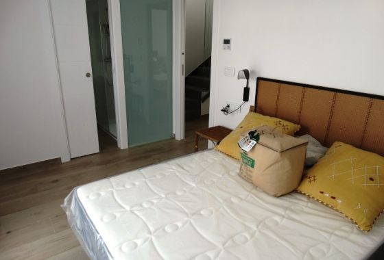 Semi-detached house · New Build - Pilar De La Horadada · Alicante