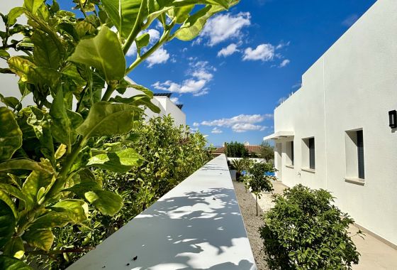 New Build - Villa - Benijofar