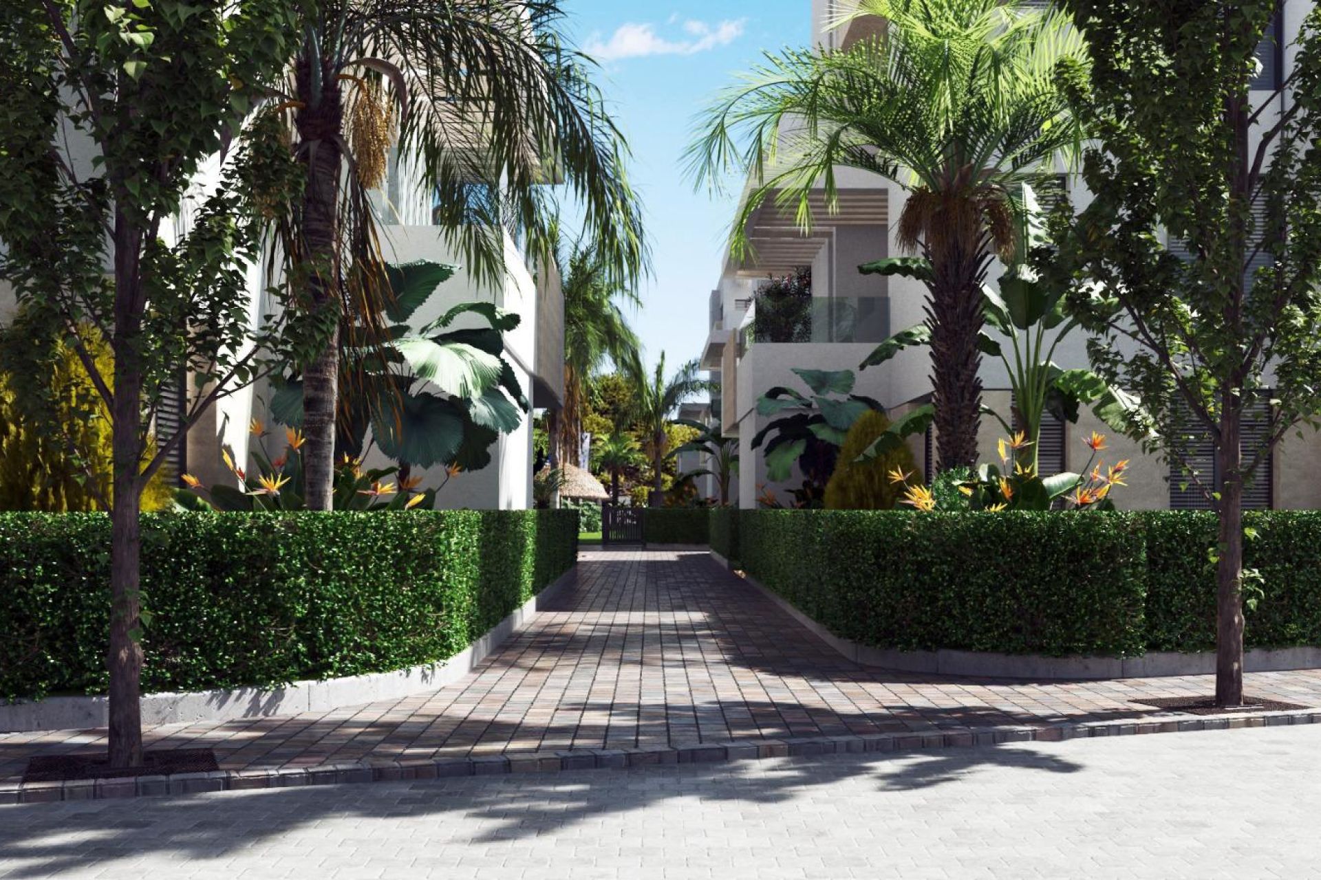 New Build - Penthouse - Santa Rosalía - Costa Calida