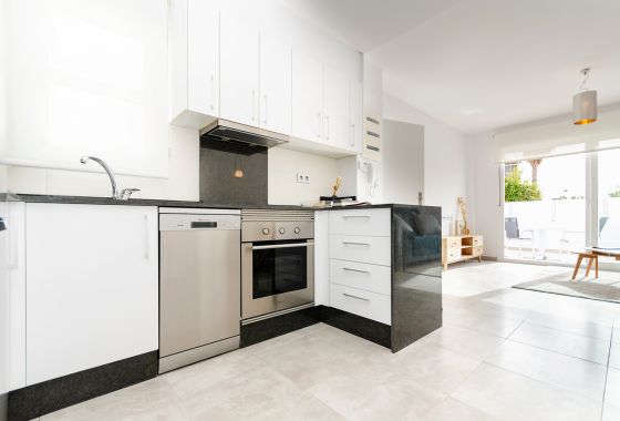 Villa · New Build - Torrevieja · Alicante