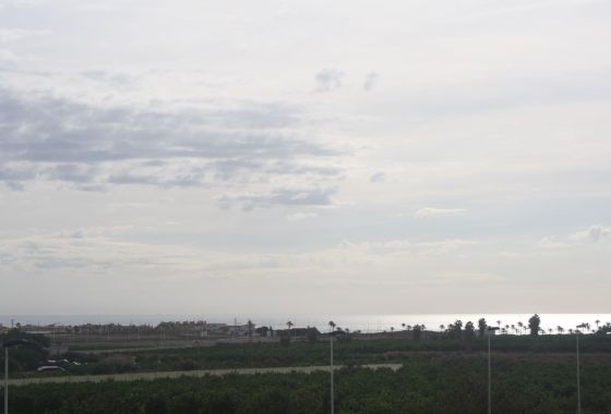 Obra nueva - Chalet Pareado - Torrevieja - Costa Blanca Sur