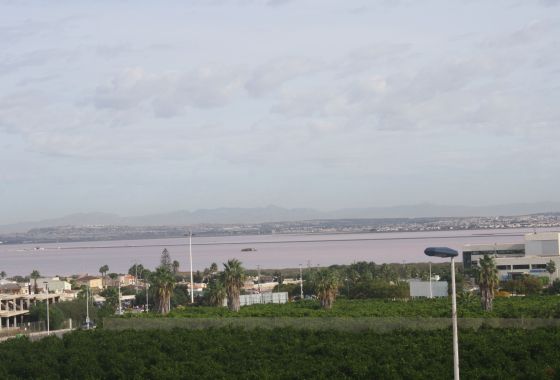 Obra nueva - Chalet Pareado - Torrevieja - Costa Blanca Sur