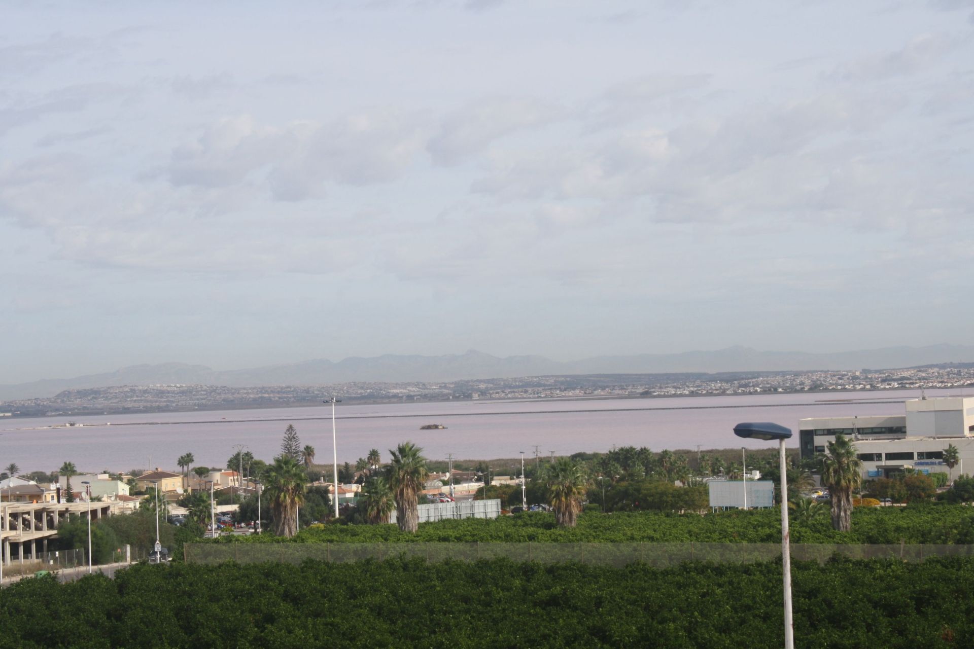 Obra nueva - Chalet Pareado - Torrevieja - Costa Blanca Sur