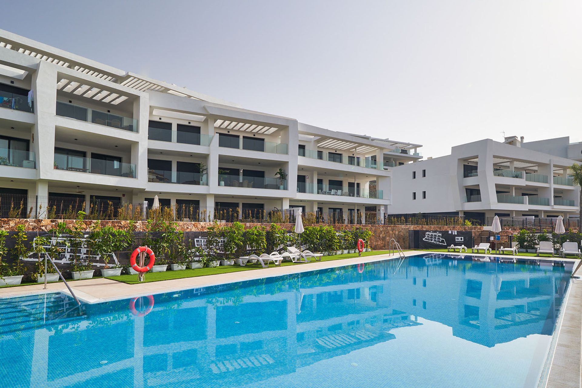 291578 — Image 10
