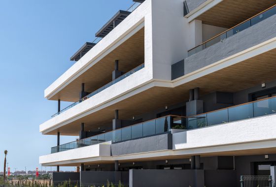 Apartment · Neue Gebäude - Torrevieja · Alicante