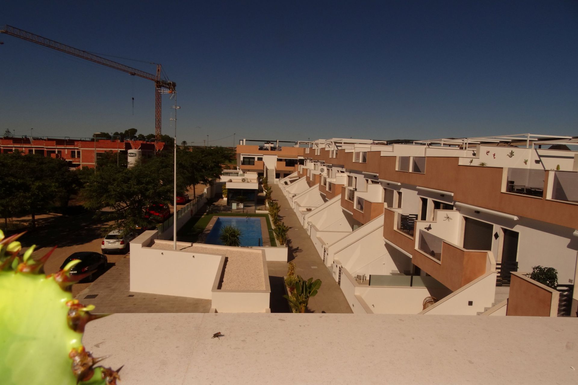 Bungalow in Pilar de la Horadada — Image 4