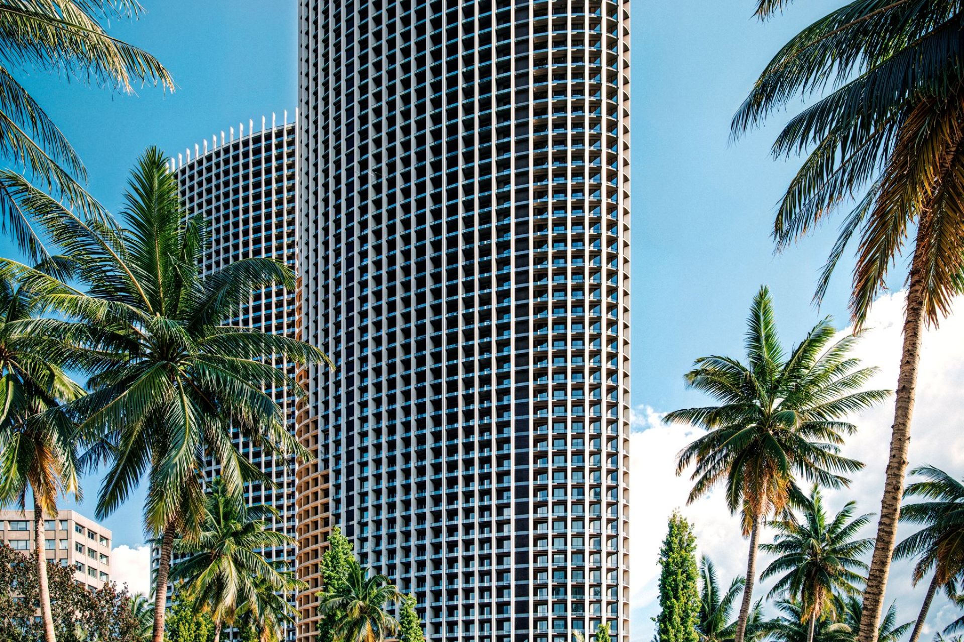 Apartment in Batumi — Image 17