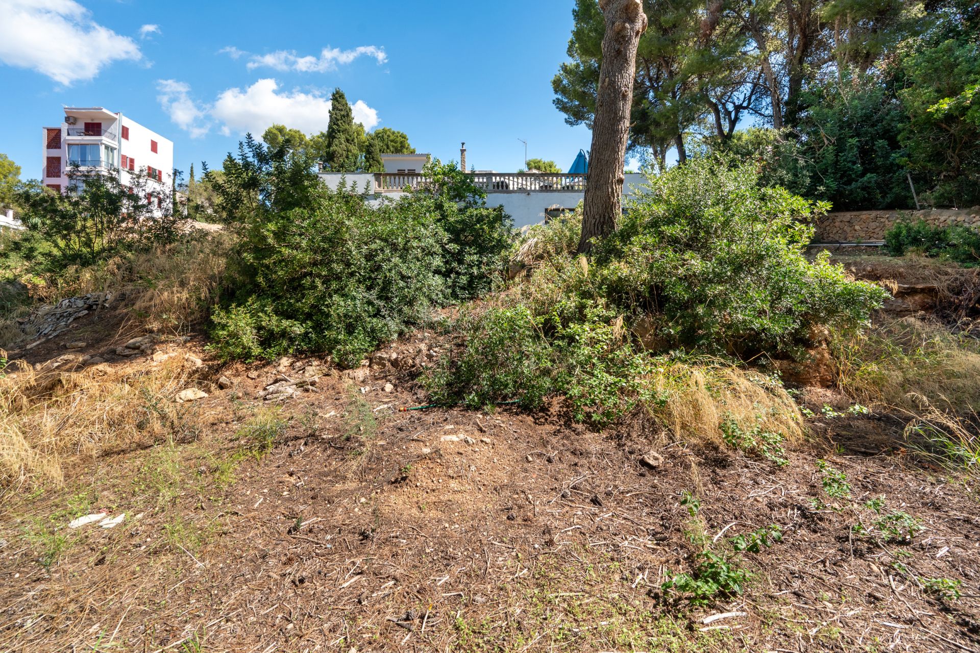 Detached house for sale with private pool in Portals Nous — Image 11