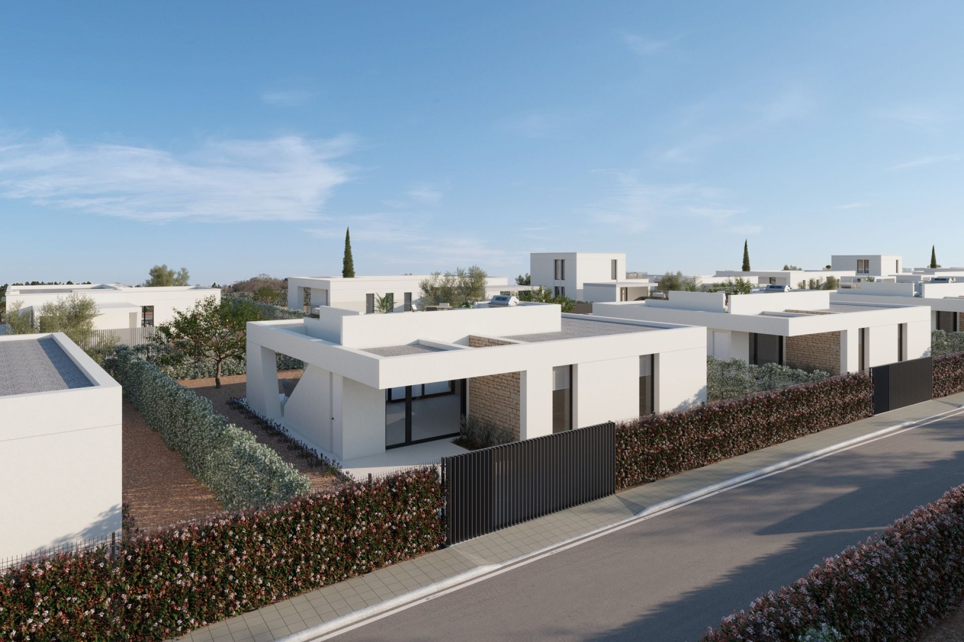 Independent Homes at Hacienda del Alamo Golf — Image 2