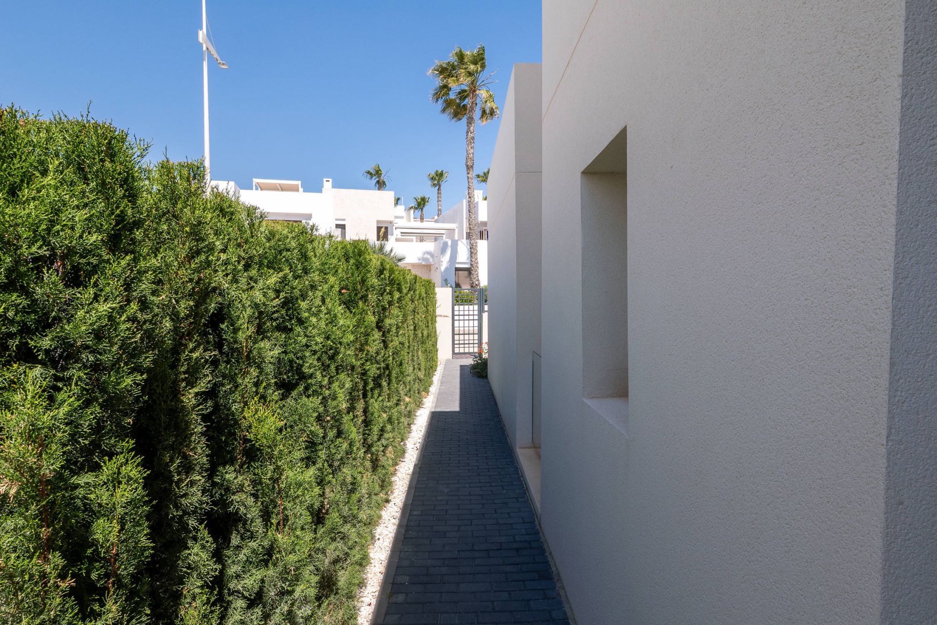 Villa in Algorfa — Image 30