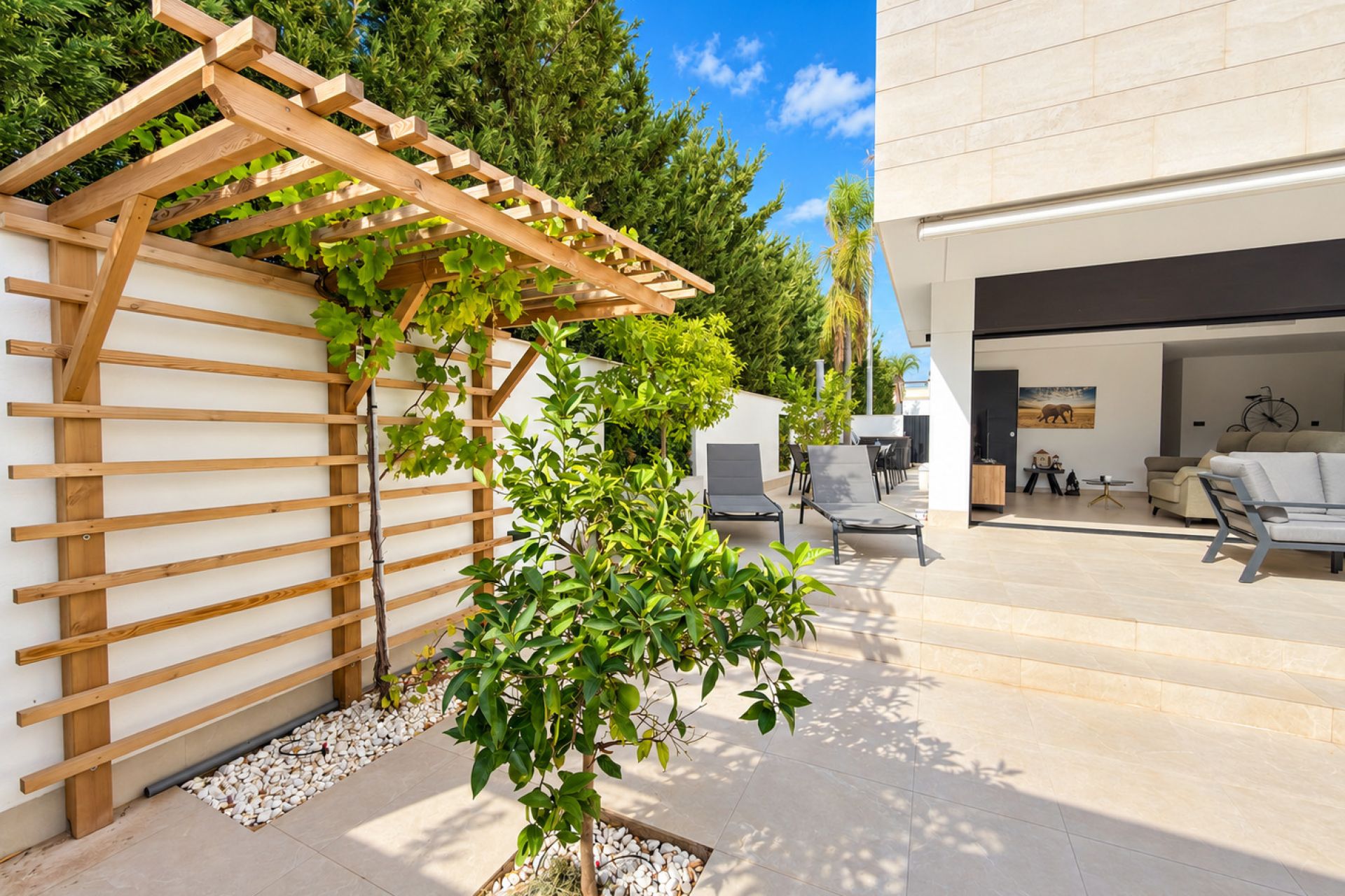 Bungalow in Pilar de la Horadada — Image 50