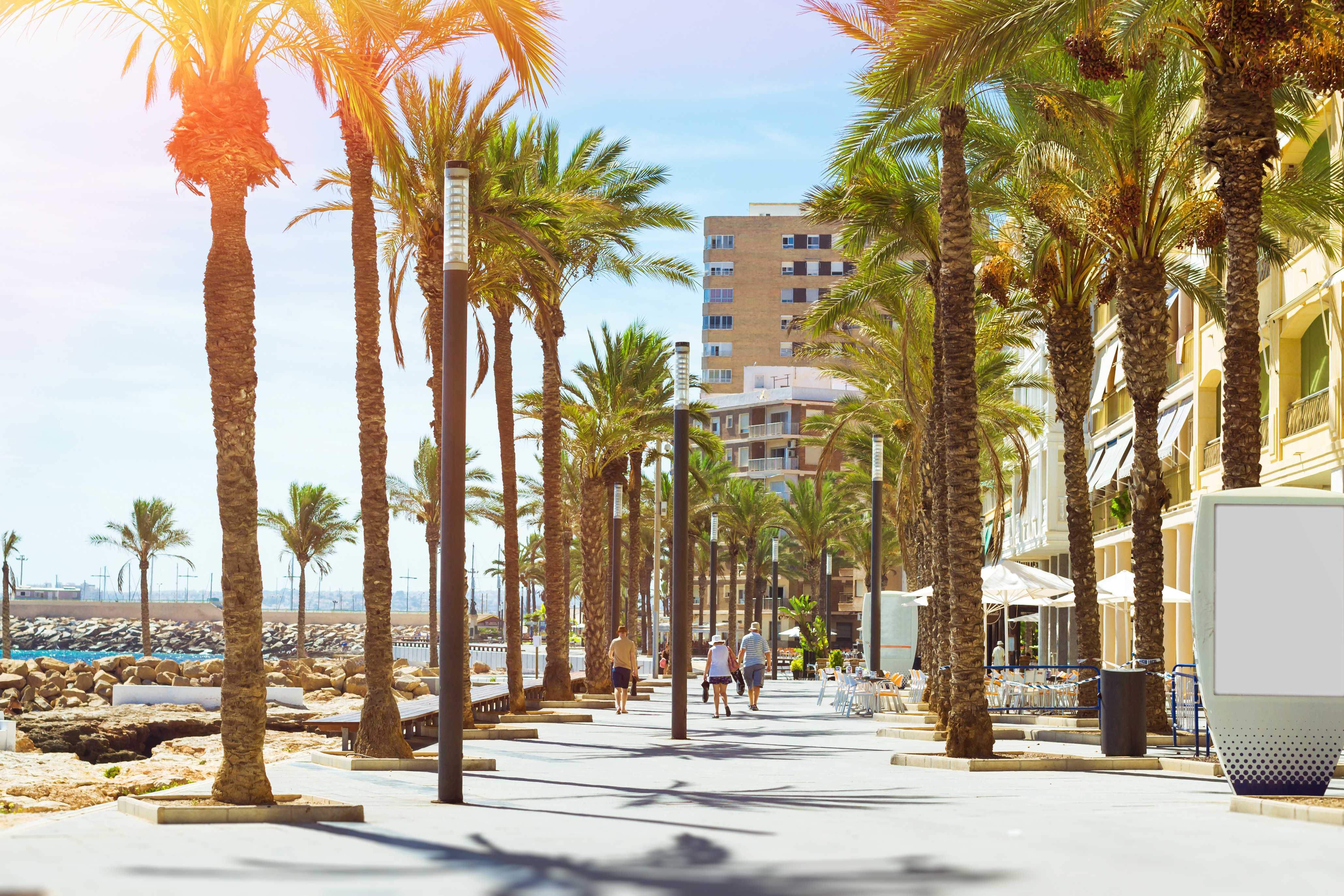 Torrevieja 8